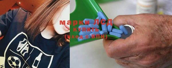 spice Новодвинск