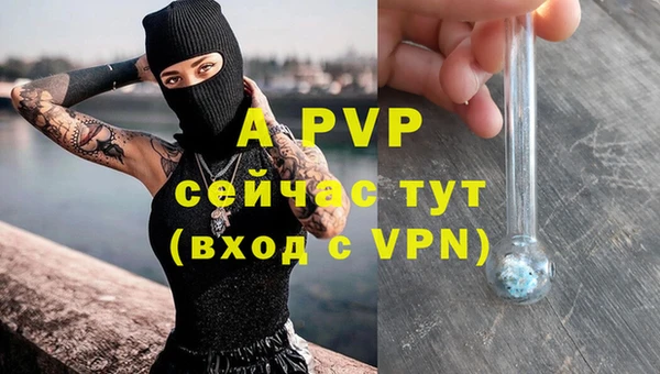 spice Новодвинск
