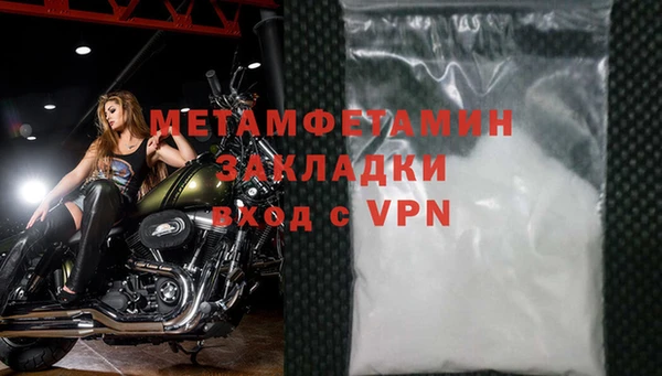 прущие грибы Аксай