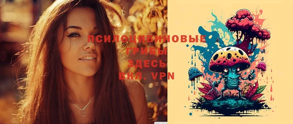 spice Новодвинск