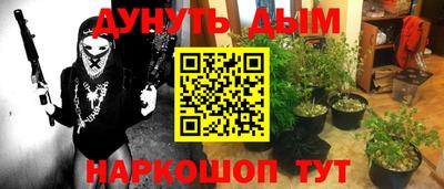 a pvp Гай