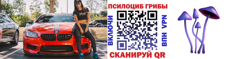 Псилоцибиновые грибы Psilocybine cubensis  Торжок 